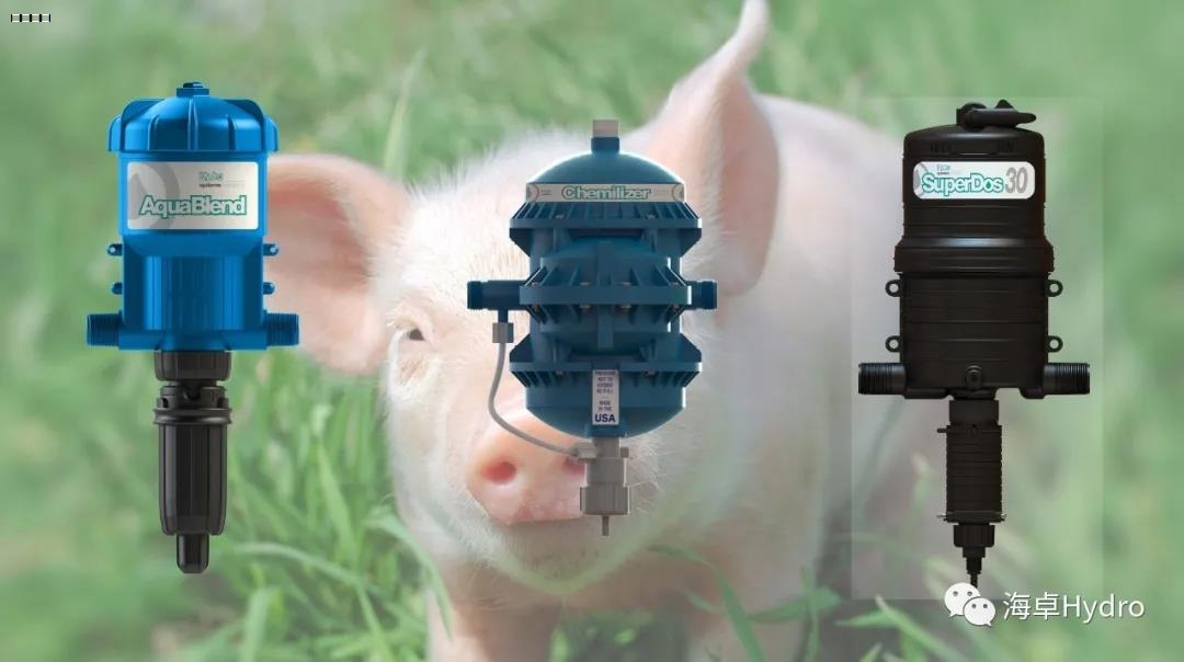 饮水加药器，助力健康养猪