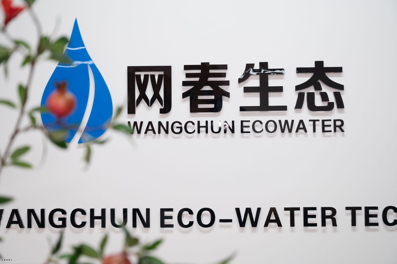 踔厉奋发，勇毅前行——网春生态十五周年庆暨供应链合作伙伴答谢会圆满结束