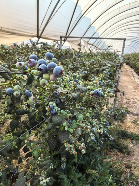 第十届北京国际灌溉技术博览会圆满结束